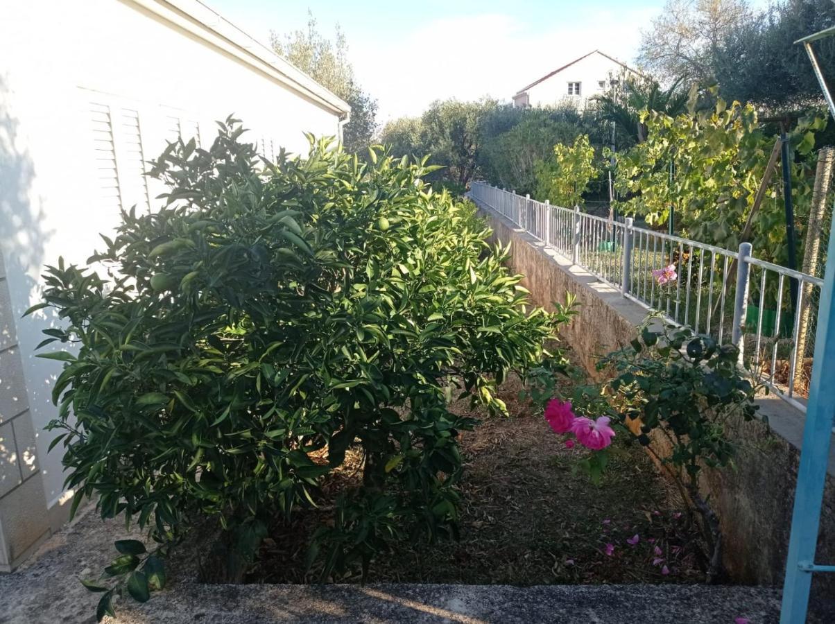 My Mediterranean Villa With Huge Garden And Own Parking Lumbarda Exterior foto